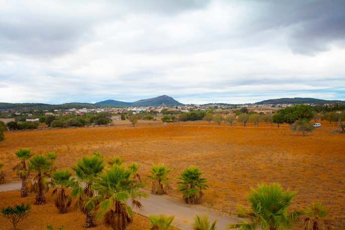 Finca a las afueras de Algaida