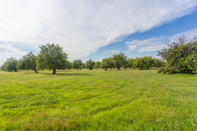 Large plot on the outskirts of Palma
