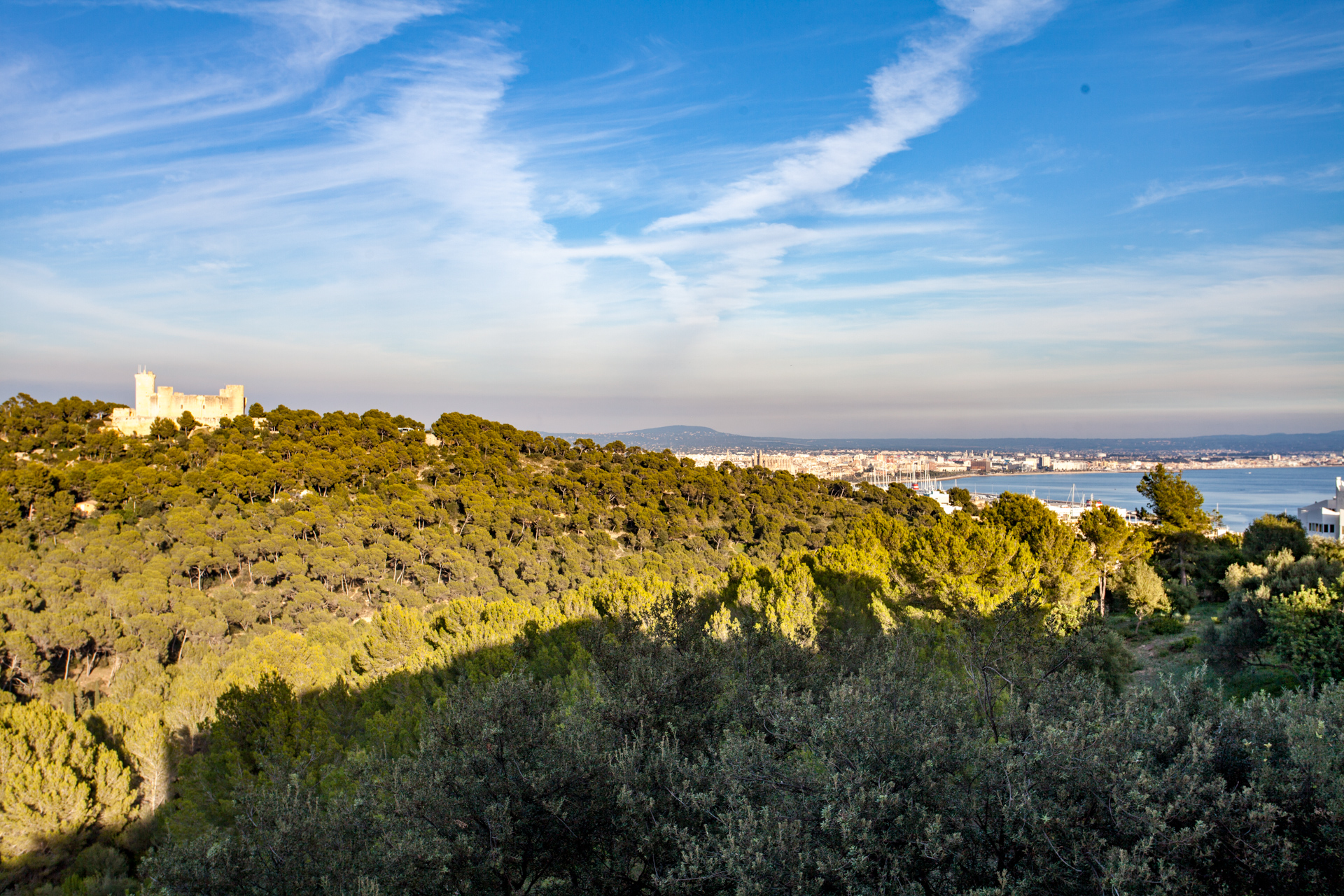 Amplio apartamento con fantásticas vistas al castillo de Bellver y a la Bahía de Palma