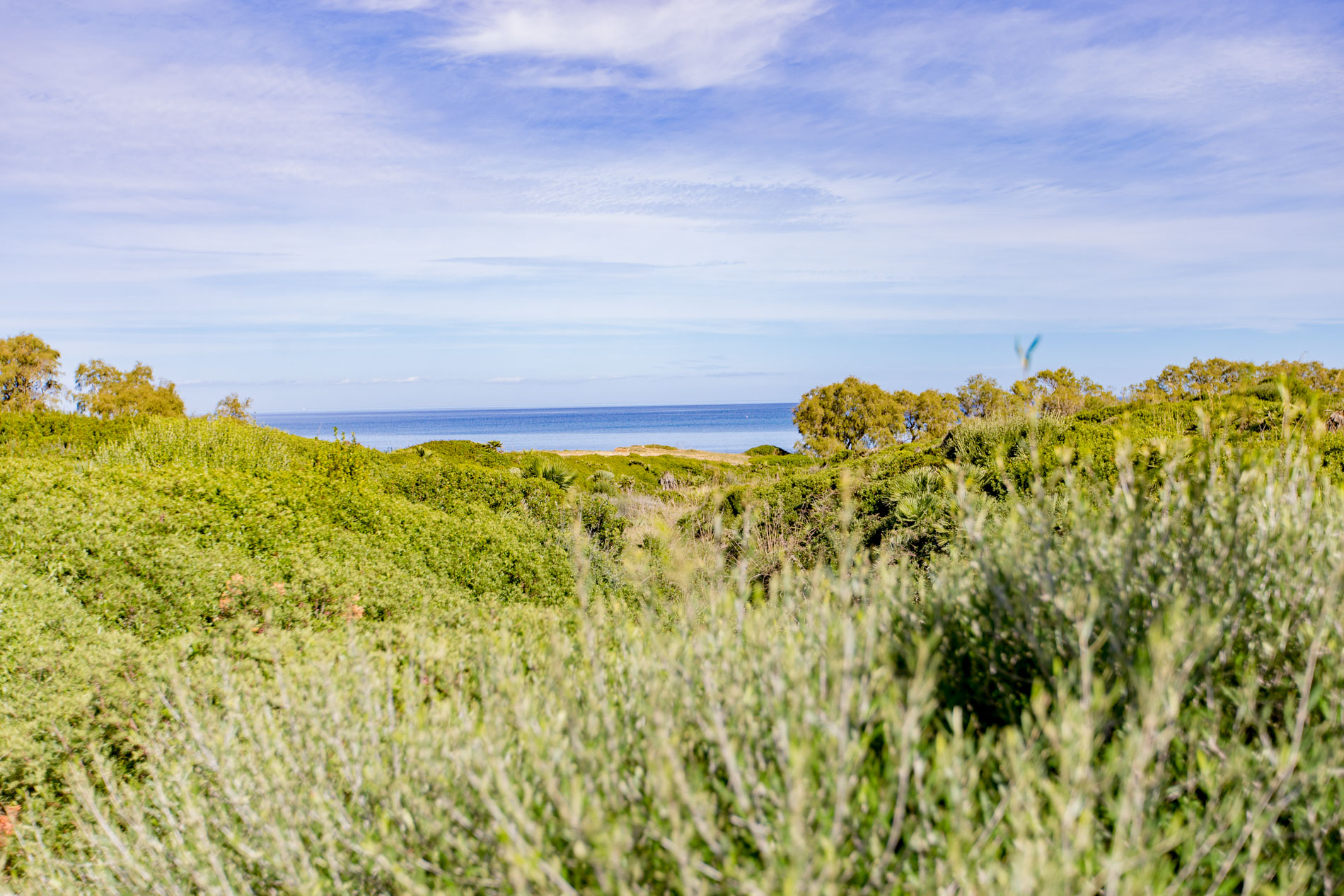 Solar urbanizable en primera linea de mar en Cala Tono, Colonia Sant Pere.